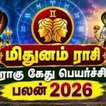 https://saneeswaratemple.com/rahu-ketu-peyarchi-2026-mithunam-rasi-palangal